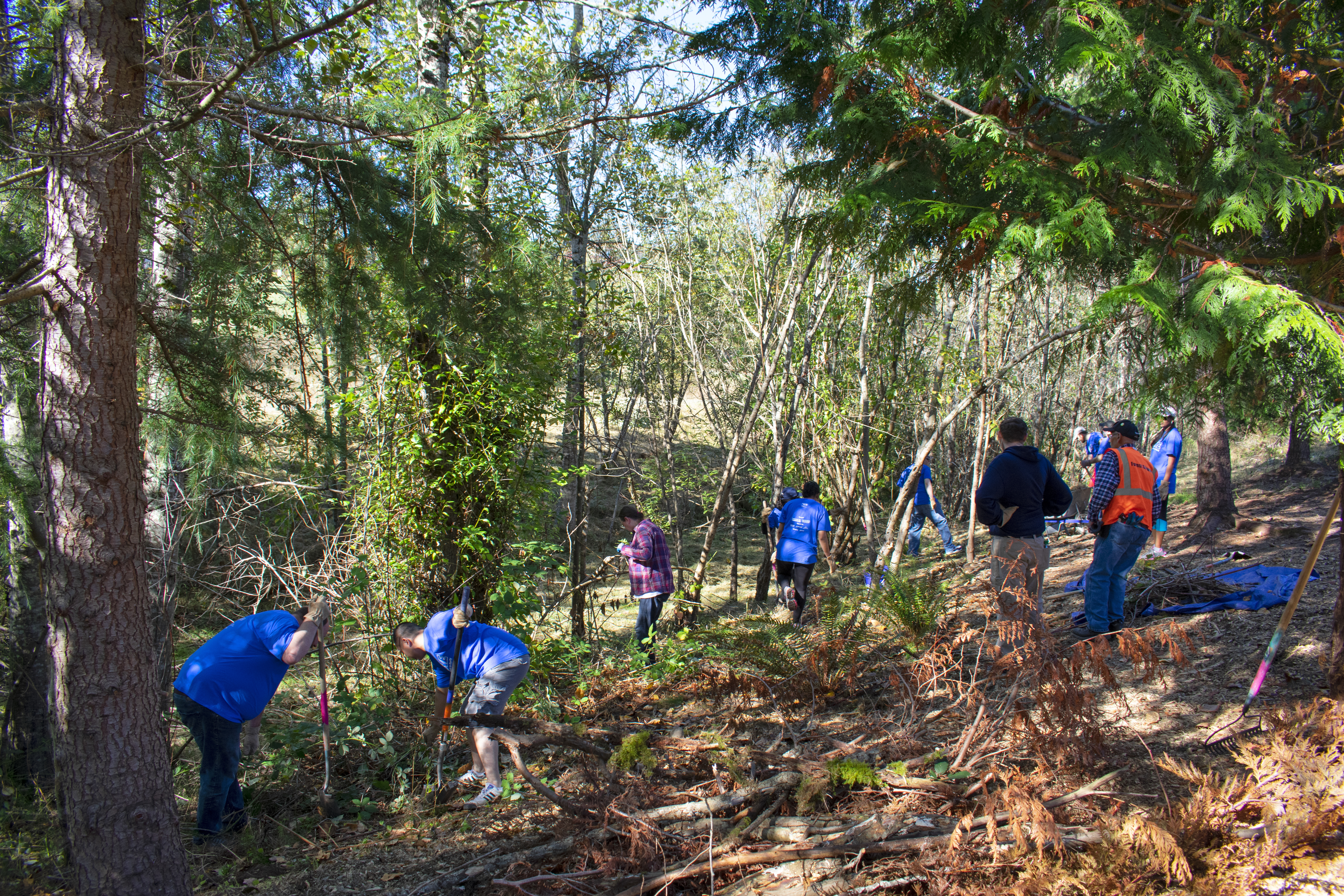 Volunteers maintaining Hannabrook Park